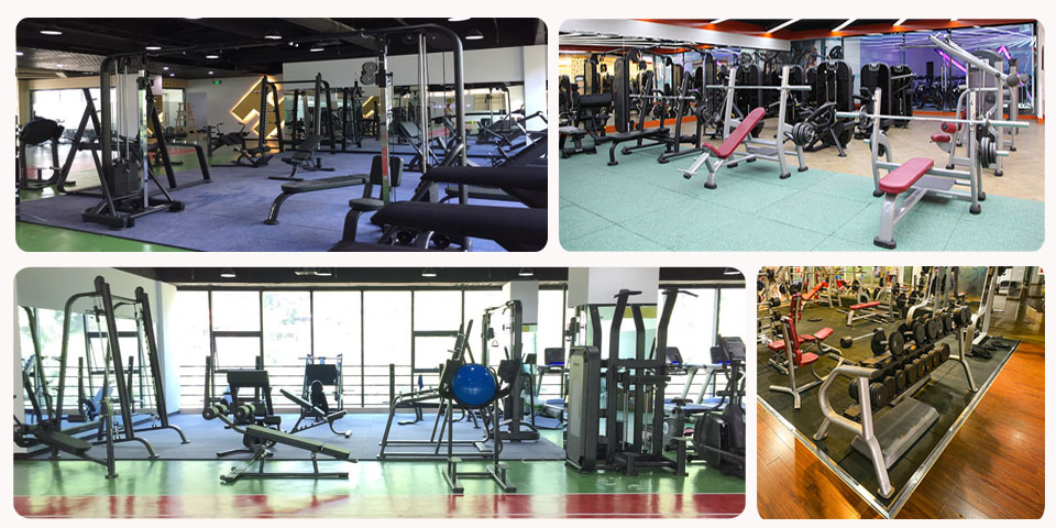 南宫NG28自由力量器械