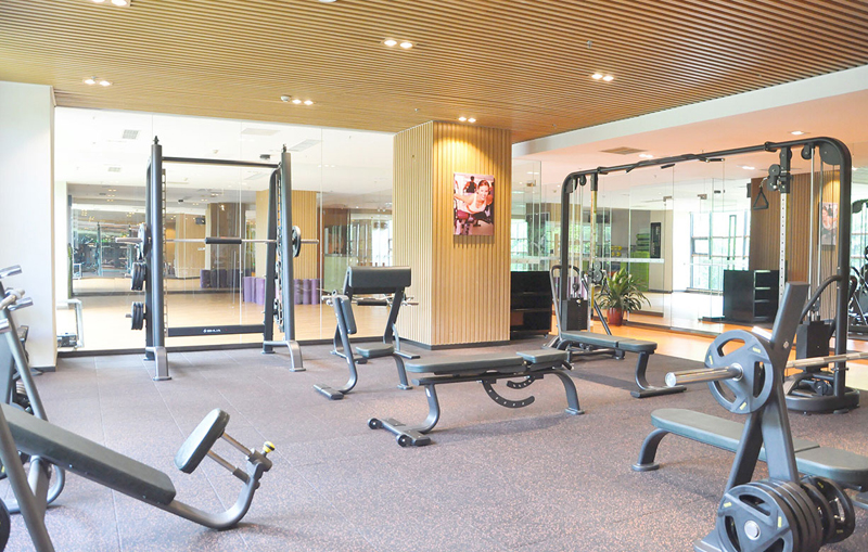 酒店健身房器材,高端健身房器材,室内健身器材-广西南宫NG28体育健身器材有限公司